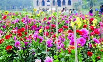 ইরানে ফুল ও উদ্ভিদ প্রদর্শনী
