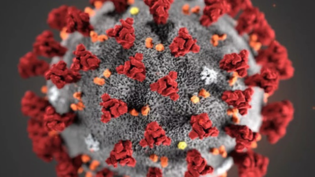 coronavirus bd death